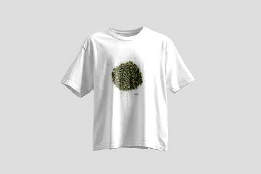 Tee — White Jade GABA Oolong