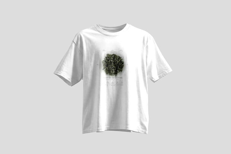 Tee — Yunnan Mao Feng Green Tea