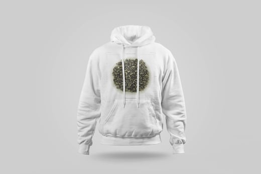 Hoodie — Ginseng Oolong